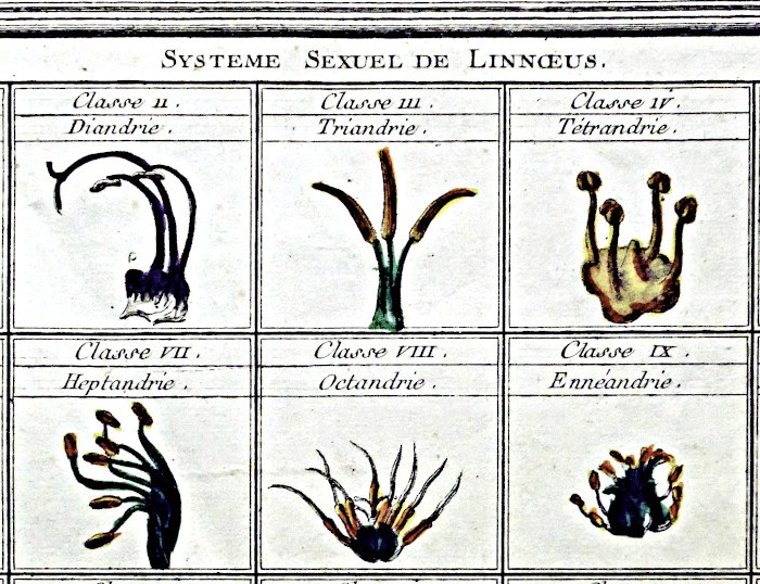 [Img linntab_ele_core-detailLp1190440.jpg goes here