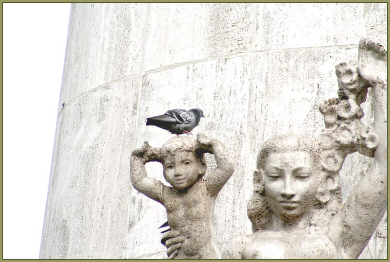 Image from Dutch trip